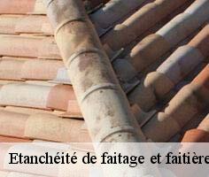 etancheite-de-faitage-et-faitiere