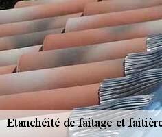 etancheite-de-faitage-et-faitiere