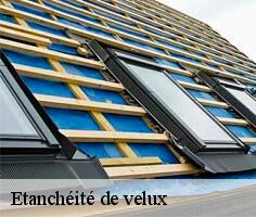 etancheite-de-velux