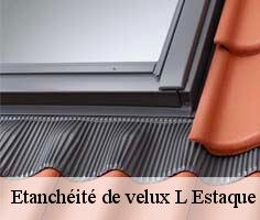 etancheite-de-velux