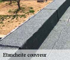 etancheite-couvreur