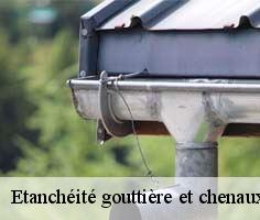 etancheite-gouttiere-et-chenaux