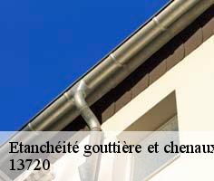 etancheite-gouttiere-et-chenaux