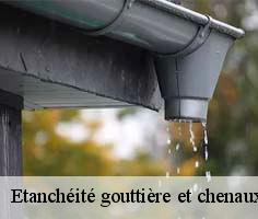 etancheite-gouttiere-et-chenaux