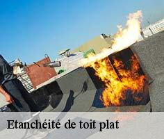 etancheite-de-toit-plat