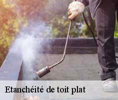 etancheite-de-toit-plat