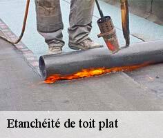 etancheite-de-toit-plat