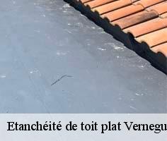 etancheite-de-toit-plat